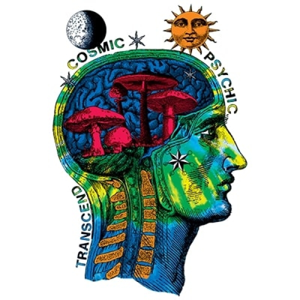T-Shirt - kurzarm - pychodelic head